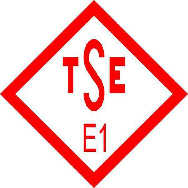 E1 logosu